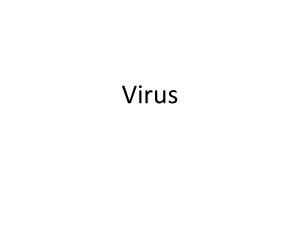 Virus - WordPress.com