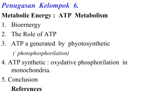 Pi , kloroplas ADP + Pi + cahaya ATP + H2O