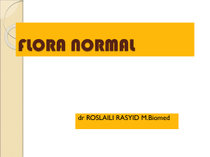 NORMAL FLORA - Repository Unand