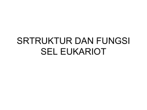 SRTRUKTUR DAN FUNGSI SEL