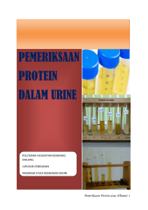 pemeriksaan protein dalam urine