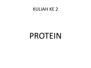 protein kul ke 2