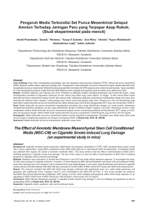 Pengaruh Media Terkondisi Sel Punca Mesenkimal Selaput Amnion