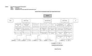 bagan struktur organisasi rumah sakit umum daerah solok