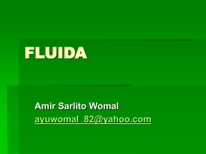 fluida - WordPress.com