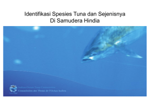 Identifikasi Spesies Tuna dan Sejenisnya Di Samudera Hindia