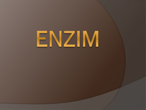 enzim - Fapet C 2010