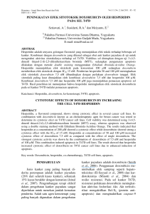 PENINGKATAN EFEK SITOTOKSIK DOXORUBICIN OLEH