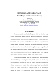 mineral dan homeostasis