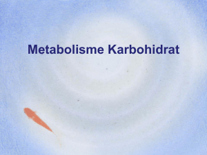 Metabolisme KH (ok) - Web Kuliah : HM. Rohmadi