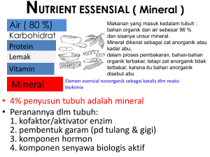 NUTRIENT ESSENSIAL ( Mineral ) Mineral