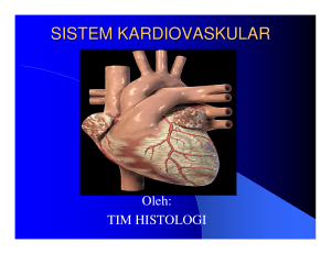 sistem kardiovaskular