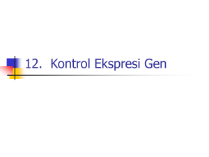 12. Kontrol Ekspresi Gen