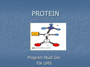 protein - kesmasums2011
