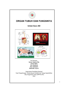 organ tubuh dan fungsinya