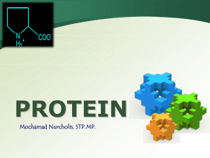 Protein - Blog UB