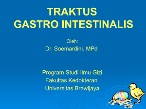 gastro intestinal tract (saluran pencernaan makanan)