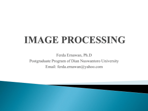 image processing - Universitas Dian Nuswantoro