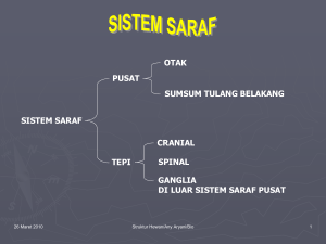 Sistem_Saraf.pps