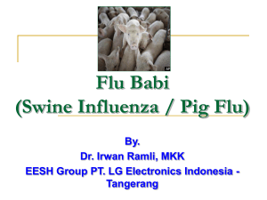 Swine Influenza / Pig Flu