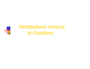 Metabolisme mineral dr.Rusdiana
