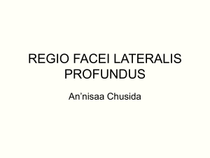 REGIO FACEI LATERALIS PROFUNDUS