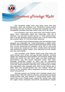 Anatomi Fisiologi Kulit