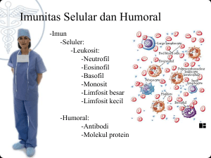 Serologi - Imunologi