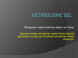 Metabolisme (enzim)