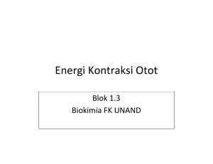 Energi Kontraksi Otot