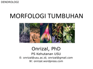morfologi tumbuhan - Onrizal