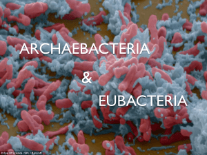bakteri - e-learning SMAN 5 Mataram