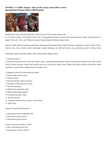 Sarang Semut Papua Herbal 1000 Penyakit