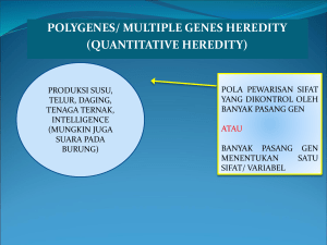 polygenes/ multiple genes heredity