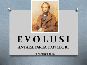 Evolusi – Evolusi, Antara Fakta dan Teori