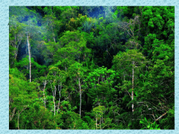 BAB 1 Flora dan Fauna