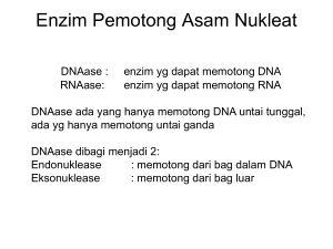 Enzim endonuklease restriksi tipe II