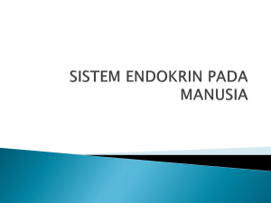 sistem endokrin