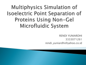 Multiphysics Simulation of Isoelectric Point Separation of Proteins