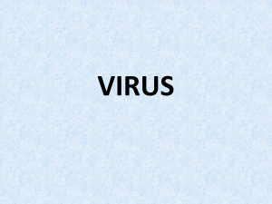 VIRUS