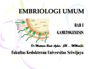 embriologi umum