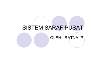 SISTEM SARAF PUSAT