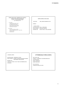 K - 32 Infeksi Virus Selama Kehamilan (Mikrobiologi)