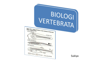 biologi vertebrata