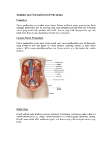Anatomi dan Fisiologi Sistem Perkemihan