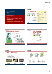 Lumut = Bryophytes - Jurusan Biologi FMIPA