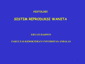 systema reproductiva feminina