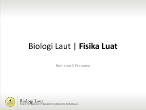 Biologi Laut | Pasang Surut