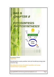 fotosintesis pdf