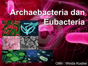 Archaebacteria dan Eubacteria new2
